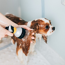 Having a Bath