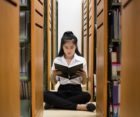 Reading in the Library