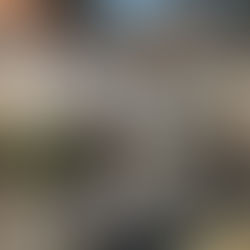 Stuck at A1 German? How to Get from A1 to A2 and Break the Plateau