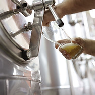 Degustação de cerveja