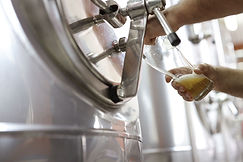 Tasting Beer