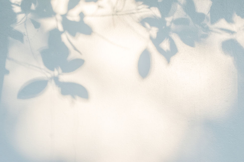 Sombras de Folhas