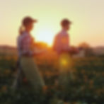 Farmers At Sunset