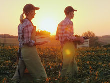 Field Visit Highlights Collaborative Research on Pest Control in the Basse Vallée de la Durance!