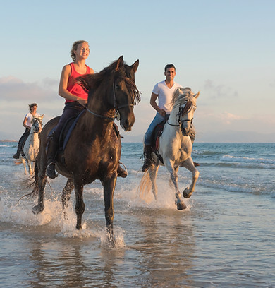 équitation pro