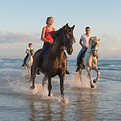 Horseback Riding
