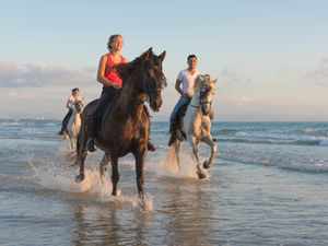 Safety in Horse Riding