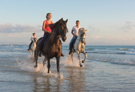 Cabalgata