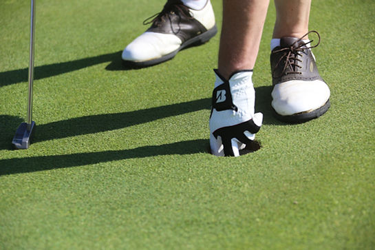 Golf Putter Action