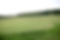 Golf Course 