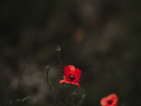 Homework, Homework, Homework