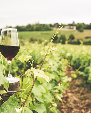 Bicchiere di vino rosso