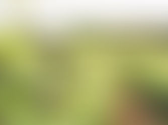 What are some common dishes that pair well with Barolo and Barbaresco wines?