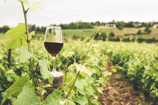 Verre de vin rouge