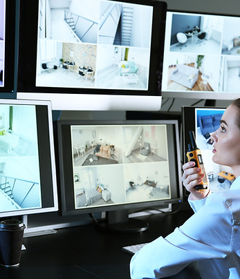 Security Monitoring Screens