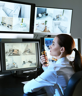 Security Monitoring Screens