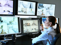 Voyager ailleurs qu’en Floride : les snowbirds sont-ils aussi en sécurité?