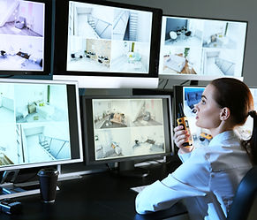 Security Monitoring Screens