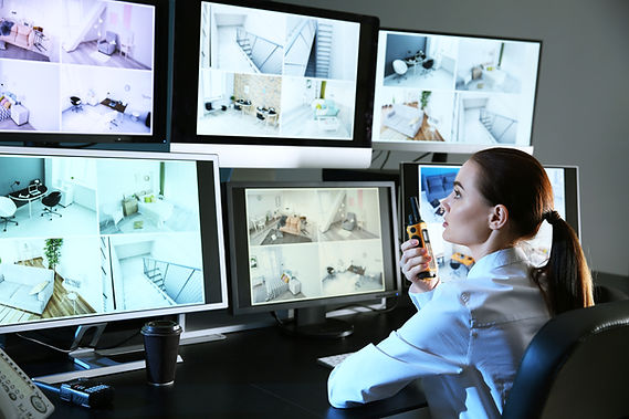 Security Monitoring Screens