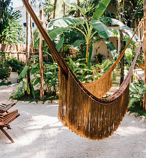 Tropical Hotel