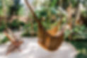Tropical Hotel