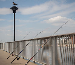 Lone Fisherman