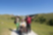 Travel and Tourism Services