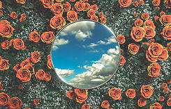 Mirror and Flowers