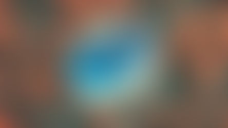 A mirror surrounded by roses