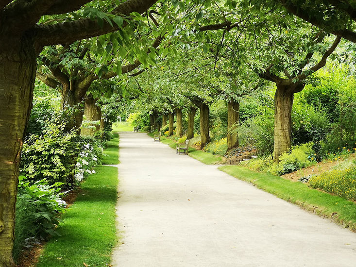 Parc verdoyant