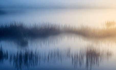 Misty Wetland Reflection