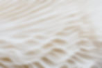 White Paper Layers