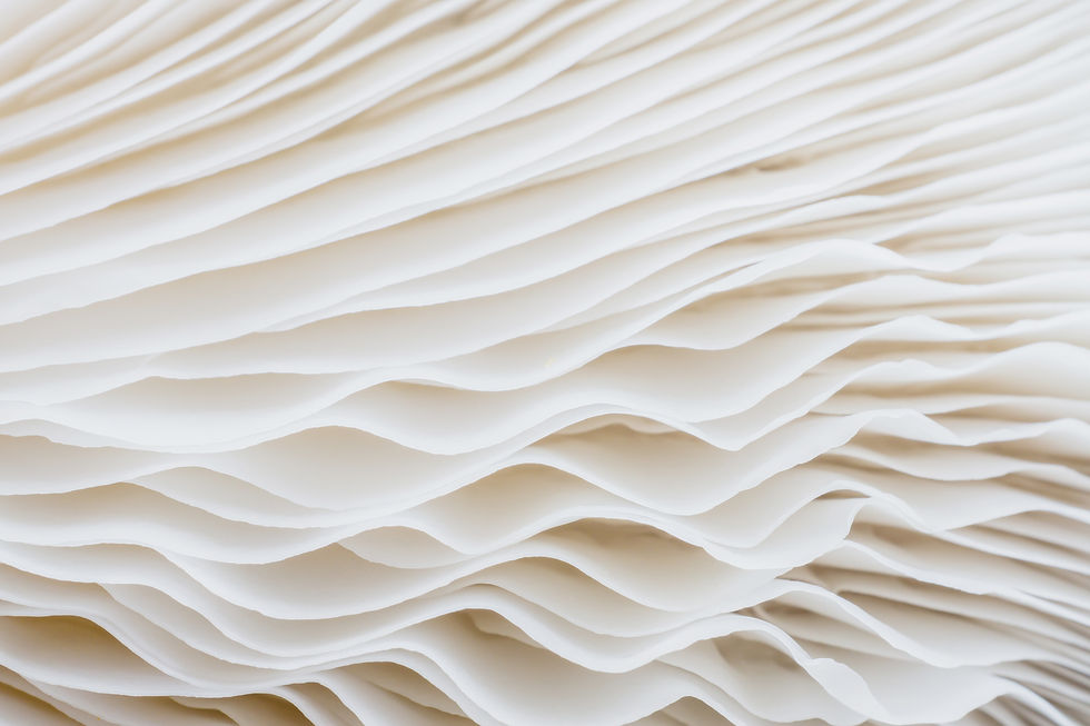 Layers Of Paper