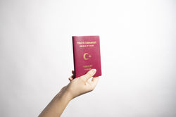 Türk Pasaportu