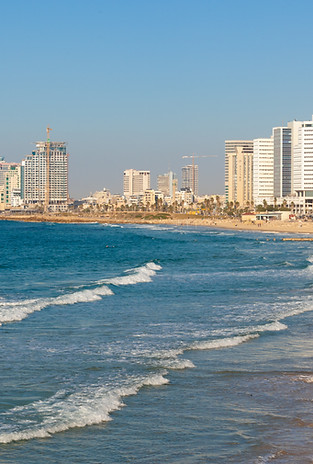 Coastal City Skyline