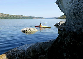 IMG_4184.jpg