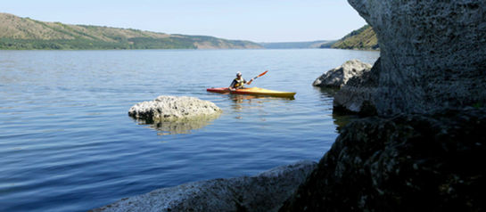 Central Coast Summer Bucket List