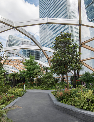 Crossrail Place Roof Garden