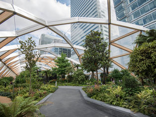 A Landscaping Firm’s Service Revolution