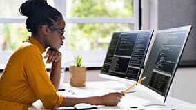 Software Programmer
