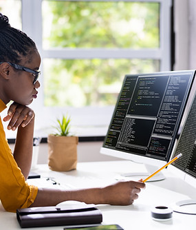 Software Programmer