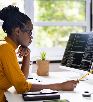 Software Programmer
