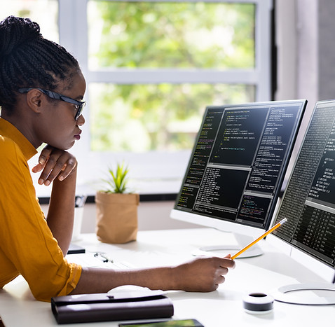 Software Programmer