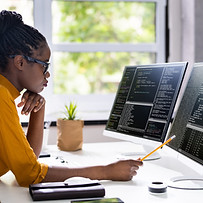 Software Programmer