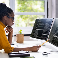 Software Programmer