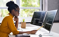 Software Programmer