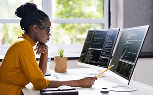 Software Programmer
