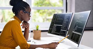 Software Programmer