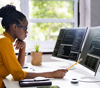Software Programmer