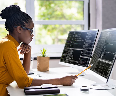 Software Programmer